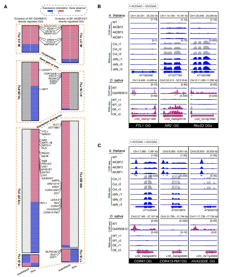 141373e0290c0c76d2029d0f18830c12_unpub_85e6ca03e19f476b904af10eb7cf683e.png